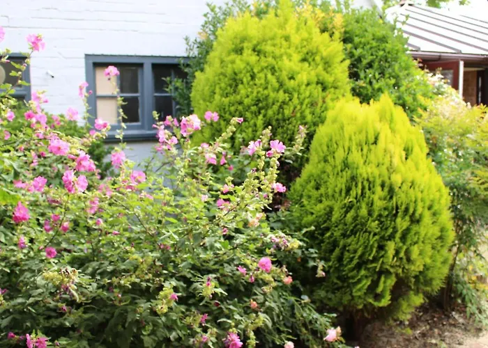 The Lord Byron Inn Cambridge